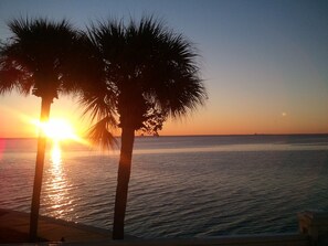 Morning view