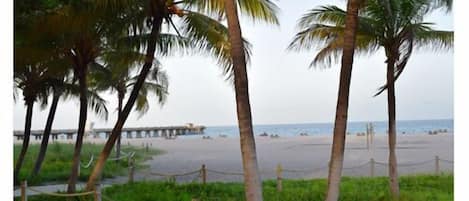 BEACH AND PIER VIEW 2