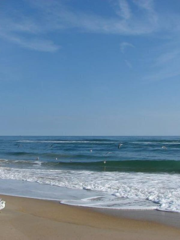 Our beach