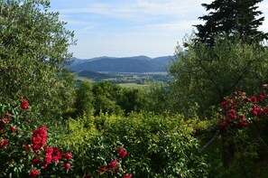 views from the pool terrace