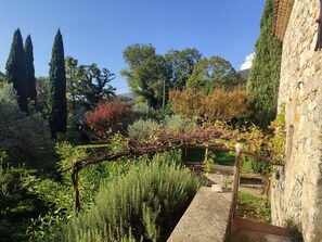 Jardin en Automne