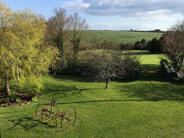 Lamorna garden and fields beyond viewed from main bedroom.