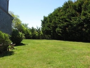 Backyard