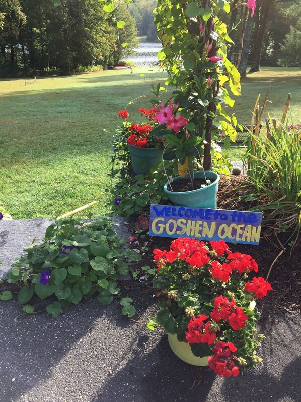 Welcome to 'The Goshen Ocean'!