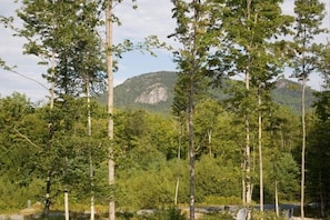 Enjoy the view from the front porch