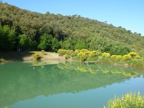 Lake