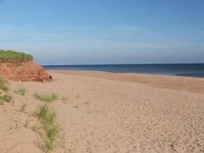 Beach, dunes, and sandstone cliff