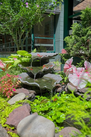 Pond Waterfall