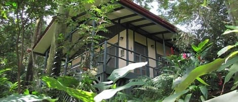 Casa Selva in its jungle setting.