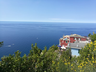 Teresita Apartments - A beautiful apartment with a sea view in Cinque Terre