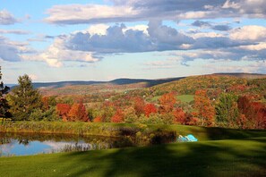 One of our beautiful views