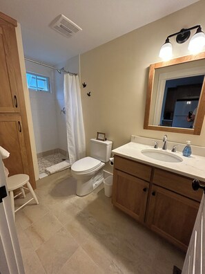 Main bath with shower