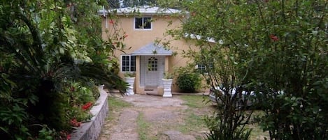 Drive way leading to the Cottage....