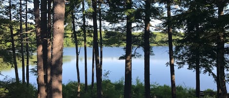 View from porch area