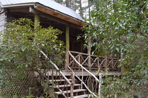 View of the Cabin