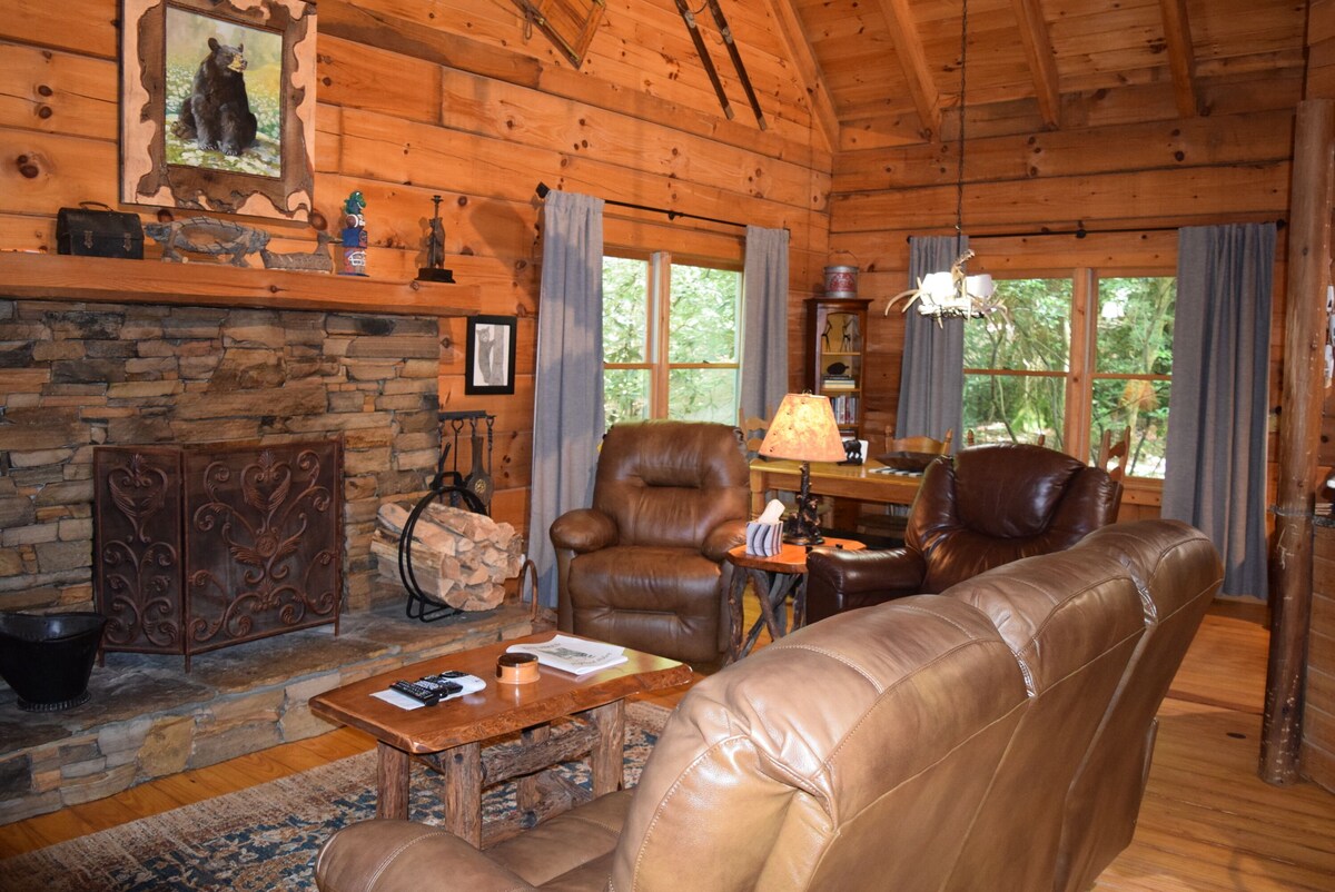 blue ridge smoky mountain cabin rentals