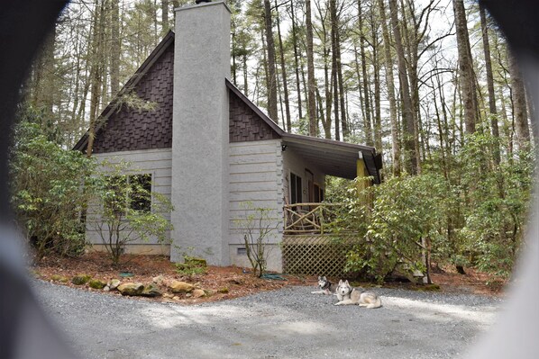 Cabin in March