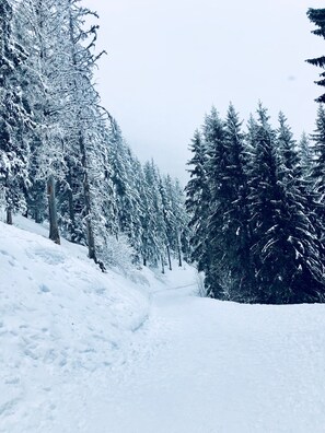 Snow and ski sports