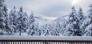 Winter view from deck