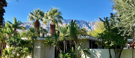 Club Condo 309 for a quiet holiday to enjoy our magical desert oasis.  