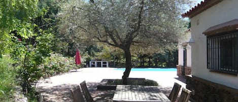 Terrasse mit Olivenbaum