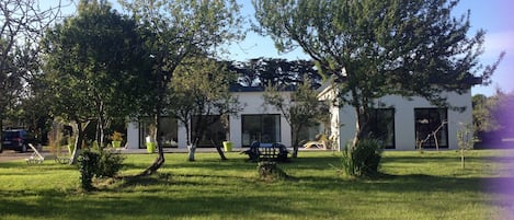 Exteriör
