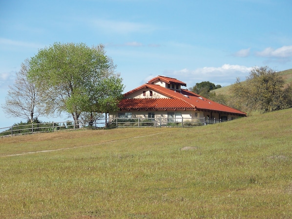 Ulkopuoli