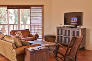 Living Room TV area