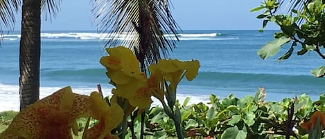 Playa
