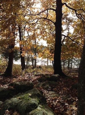 Along one of the hiking trails in Autumn 