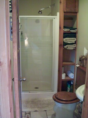 Full Bath with Antique Fixtures