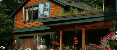 This is a shot looking at the green roof and your studio.