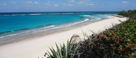 Your own private beautiful white pink sand beach...
