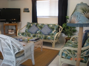 living room with large screen TV & dvr