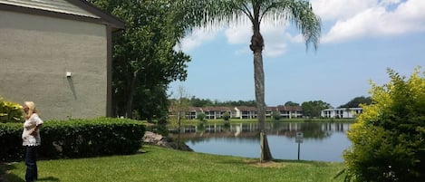 Sunshine, palm trees, and water!