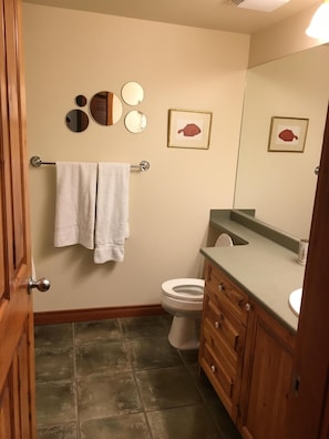 main floor bathroom