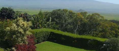 Snow capped Mauna Kea