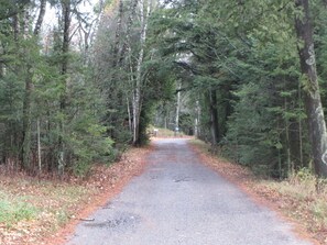 tree-lined rustic road - meanders along Lake Michigan (newly paved 2024)