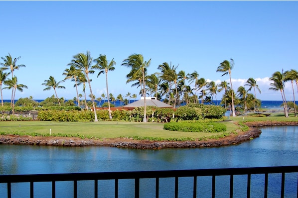 100% Ocean View folks