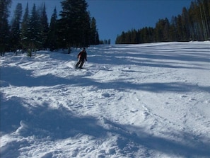 Sneeuw- en skisporten