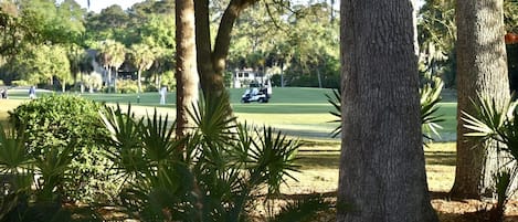 View from back porch