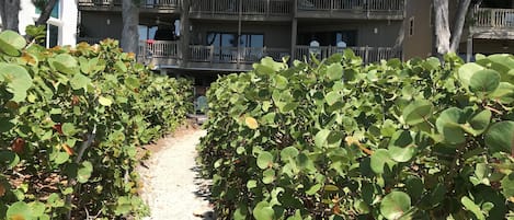 Building from beach side