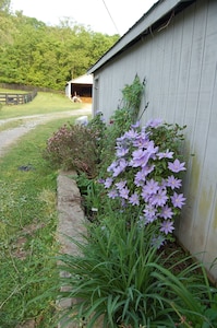 Leipers Fork  Barn Loft