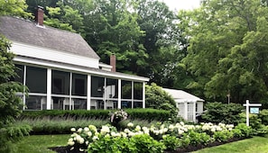 Hydrangea Garden