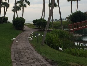 Property grounds