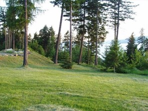 Cabin Yard