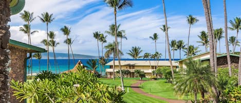 Beautiful partial ocean view from the lanai of F-252- Plumeria trees bloom in the Spring/Summer