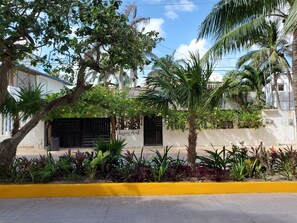 Front view of house from the newly constructed, well light and landscaped Street