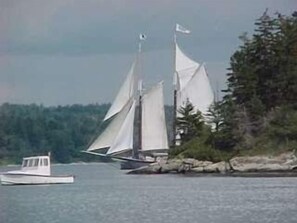 Enjoy watching the schooners sail by