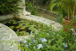 Lily ponds lie to either side of the entrance to Cassava House, Bequia